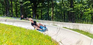 Luge d'été du col de la Schlucht